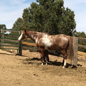 Meet your Posher, Marcy